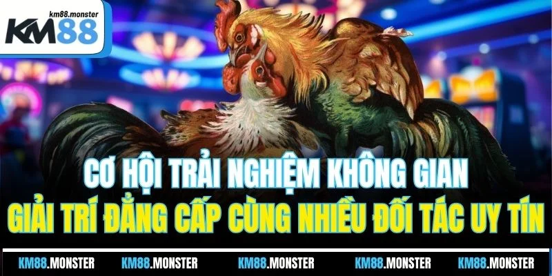 Cơ hội trải nghiệm không gian giải trí đẳng cấp cùng nhiều đối tác uy tín