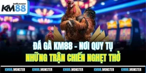 đá gà KM88