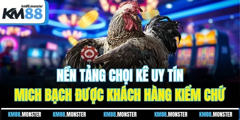 Nền tảng chọi kê uy tín, mich bạch được khách hàng kiểm chứ