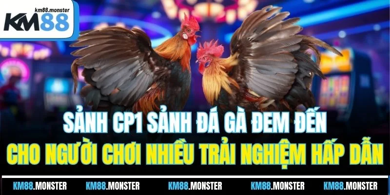 Sảnh CP1 sảnh đá gà đem đến cho người chơi nhiều trải nghiệm hấp dẫn