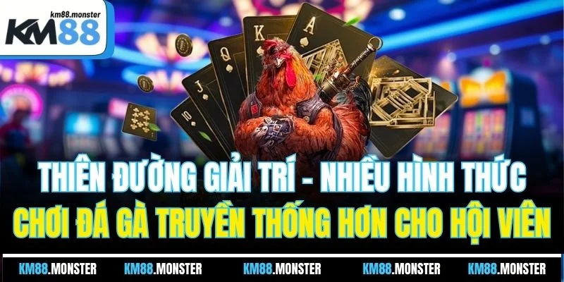 Thiên đường giải trí - Nhiều hình thức chơi đá gà truyền thống hơn cho hội viên